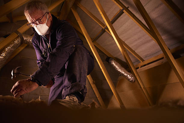 Best Professional Insulation Contractor  in Wynantskill, NY